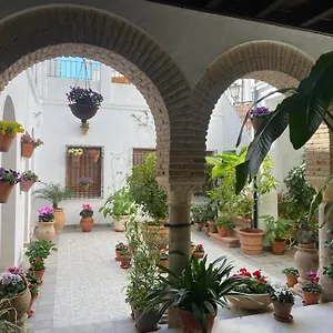 El Patio De Regina Córdoba