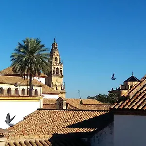  Apartamento La Mirada De La Judería