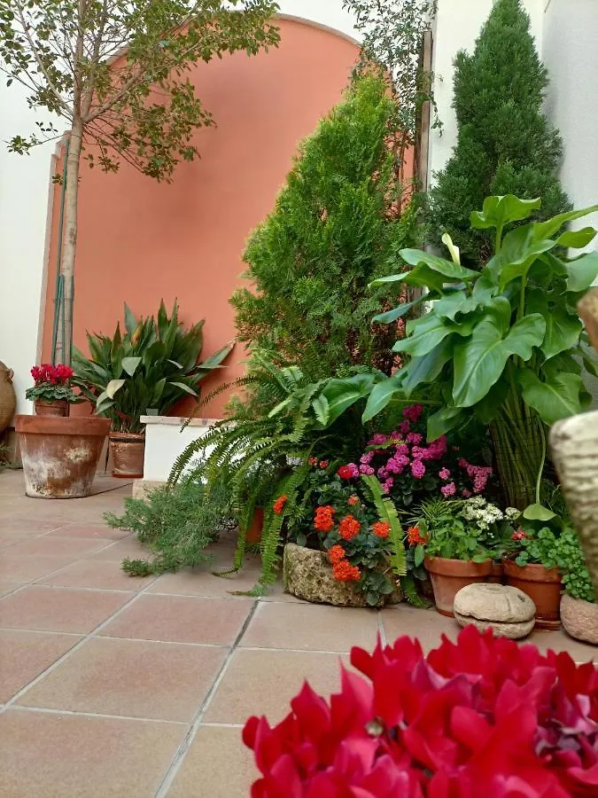 Ziza Apartman Córdoba